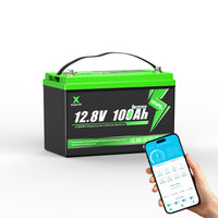 XSVPVOLT 12V 12Ah LiFePO4 Lithiumbatterie für Fischfinder, Camping & Kleingeräte